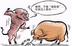 菠萝、猪肉质量堪忧 警惕台湾农产品摧毁
